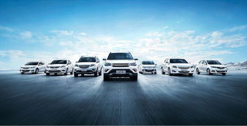 瀘州萬友公司 專業(yè)汽車服務(wù)，值得信賴的合作伙伴